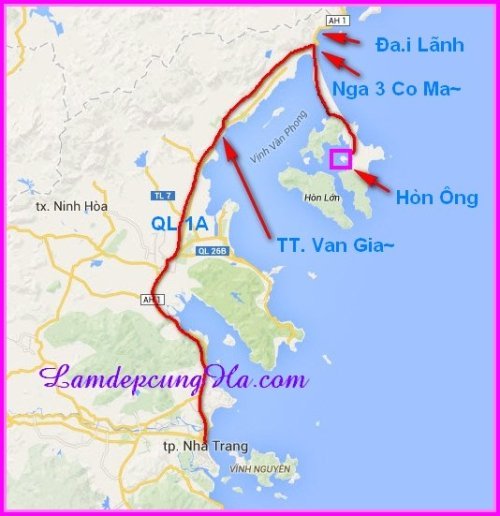Bản đồ đảo Cá Voi