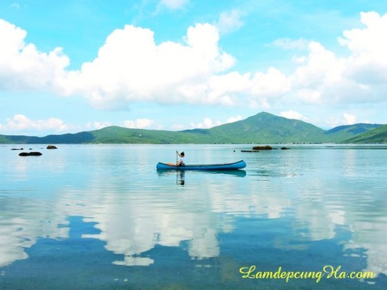 Bơi thuyền kajak trên đảo cá voi