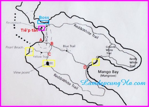 Lộ trình du lịch khám phá đảo Hòn Ông