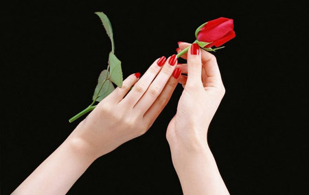 Dầu Oliu làm đẹp cho móng tay Dầu Oliu làm đẹp cho móng tay