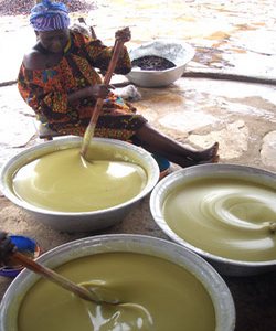 Bơ hạt mỡ