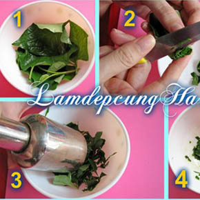 Trị Thâm Mụn Bằng Rau Diếp Cá